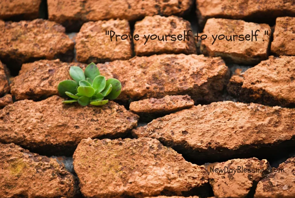 101 Happy Wednesday Quotes & Affirmations to Find Your Clarity (4) Inspirational Wednesday Morning Quotes
